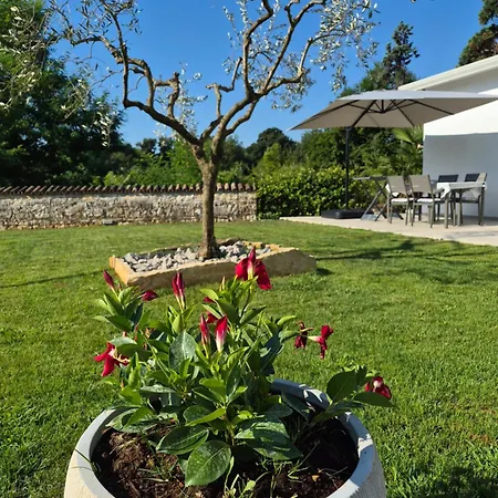 Mareya Premium Daire Poreč